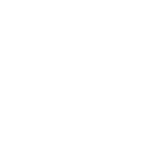 program szybki 