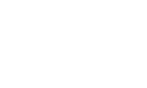 logo amica