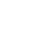 auto open door